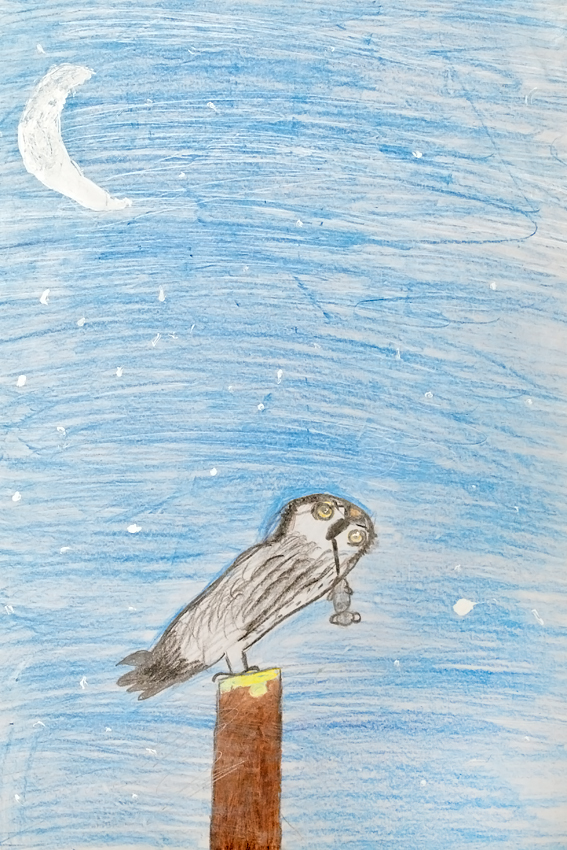 corujadastorres_jorge-raminhos