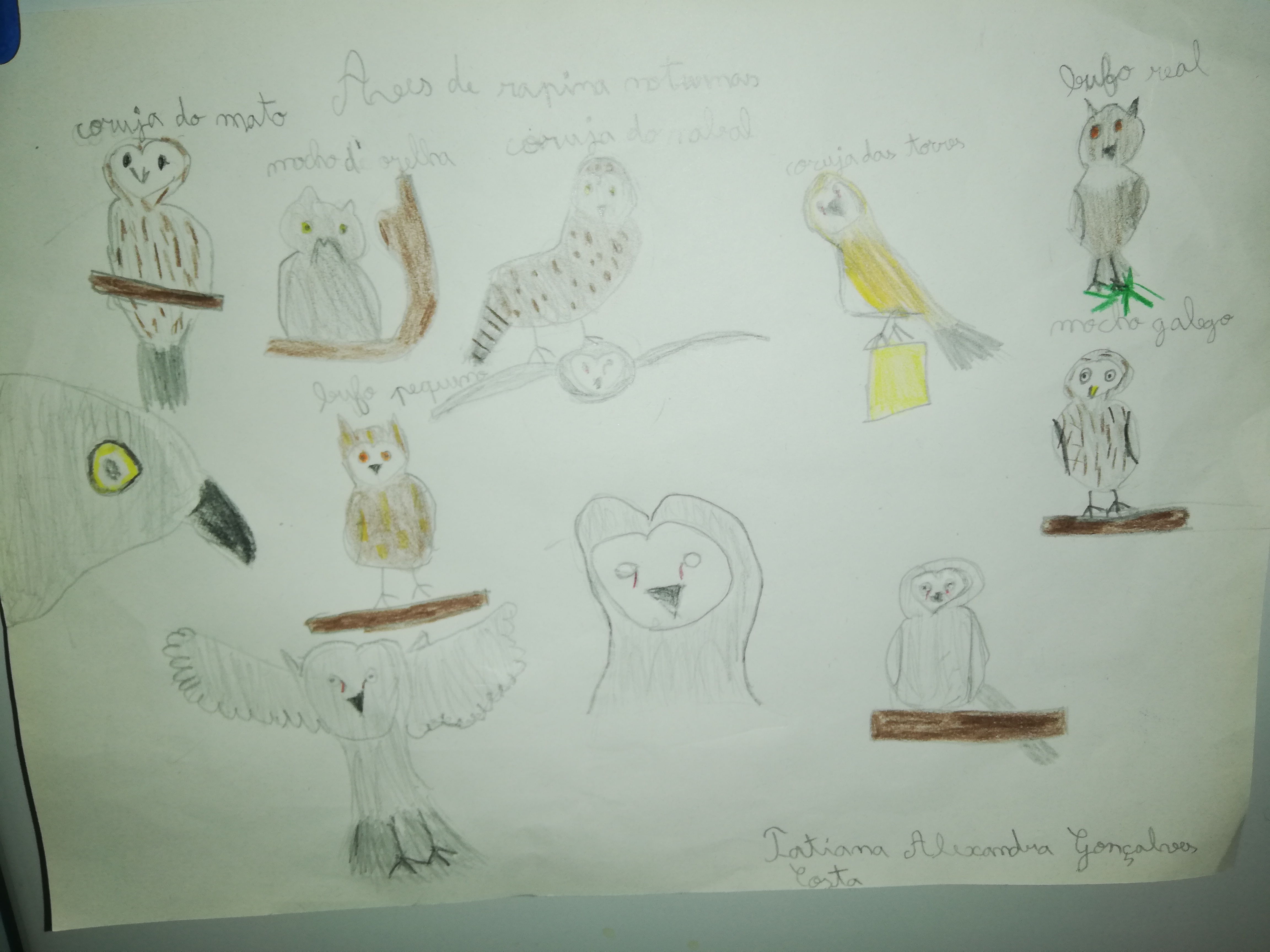 Tatiana Alexandra Gonçalves Costa de 7 anos